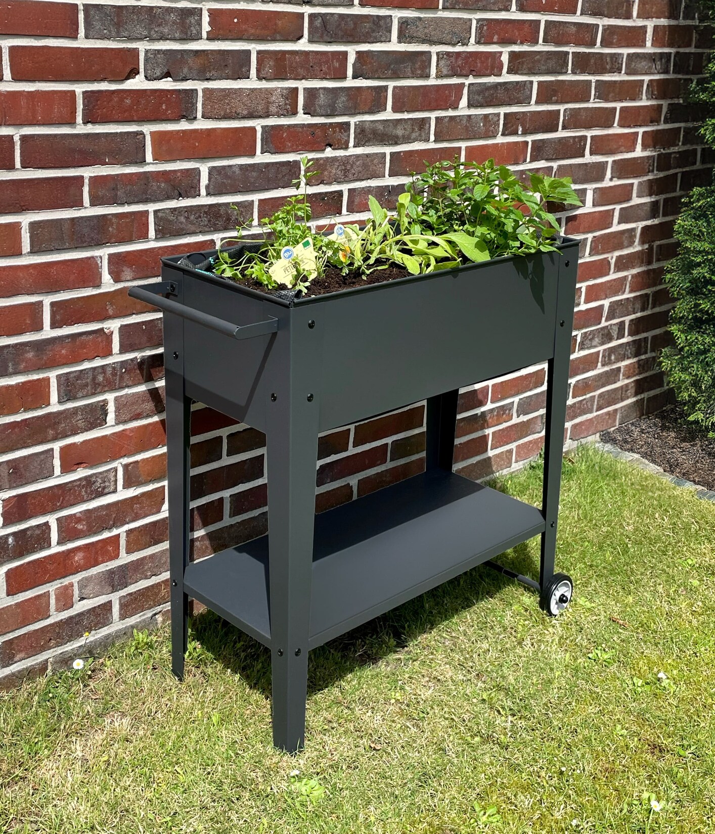 Garden Pleasure Mobiles Hochbeet Metall versch. Ausführungen | 04041908118141