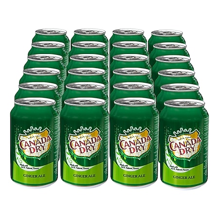 Canada Dry Ginger Ale 0,33 Liter Dose, 24er Pack - Bild 1