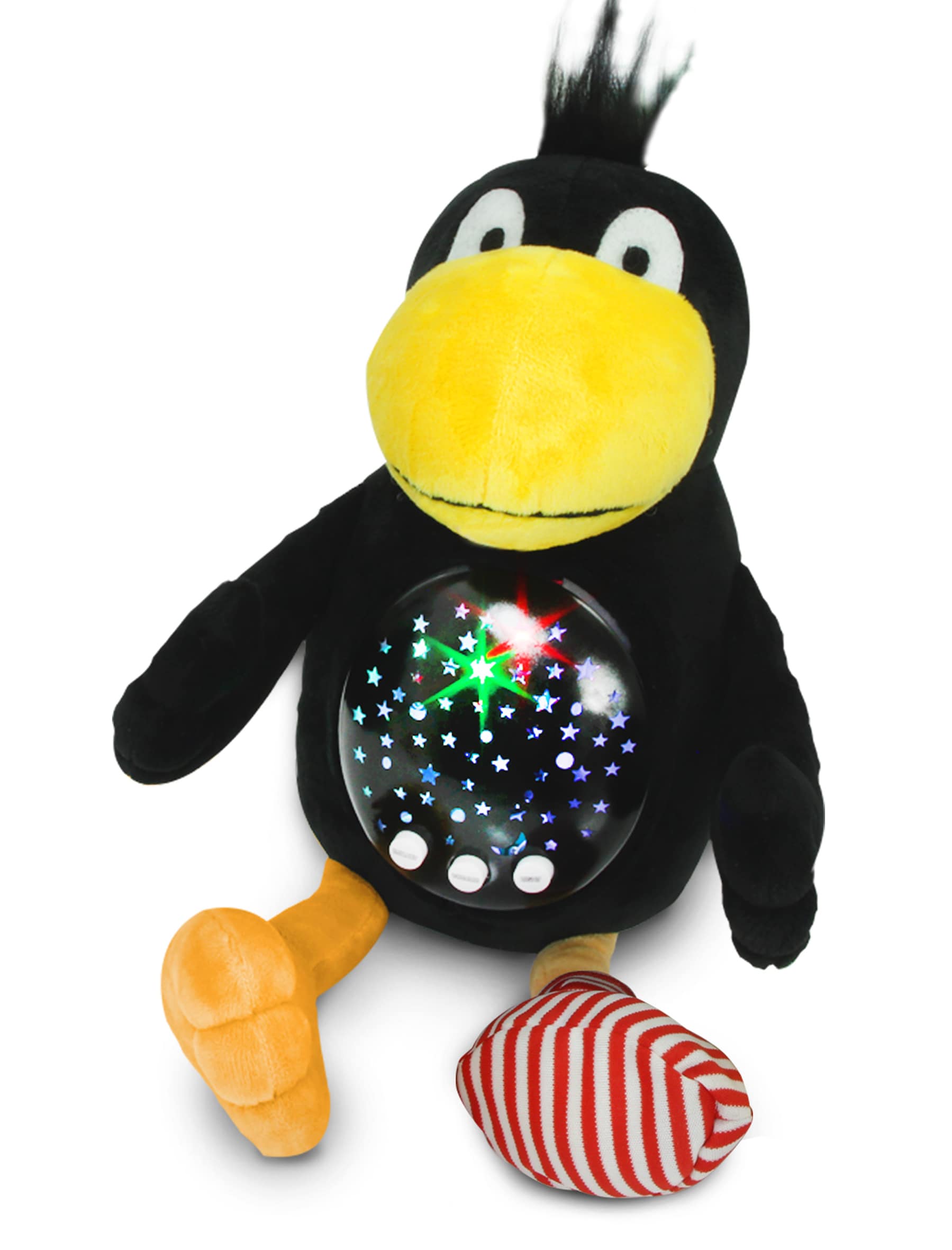 Sternenlicht &bdquo;Der kleine Rabe Socke - Bild 1