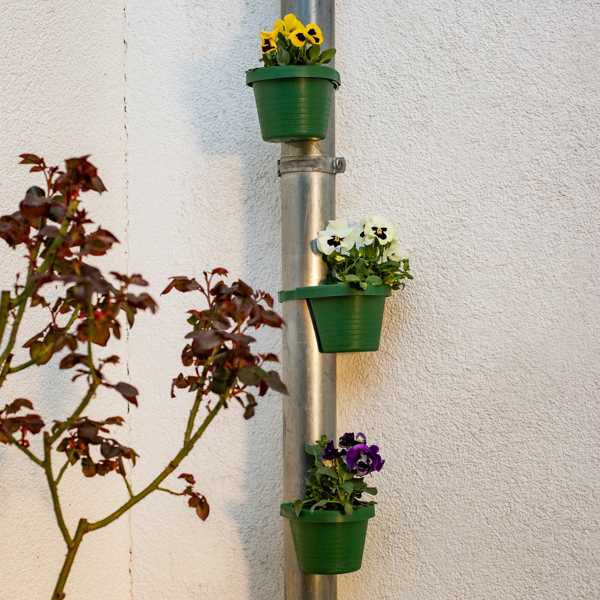 UPP Fallrohr-Blumentopf grn / Pflanztopf / Regenrohrgef / Kbel online  kaufen bei Netto