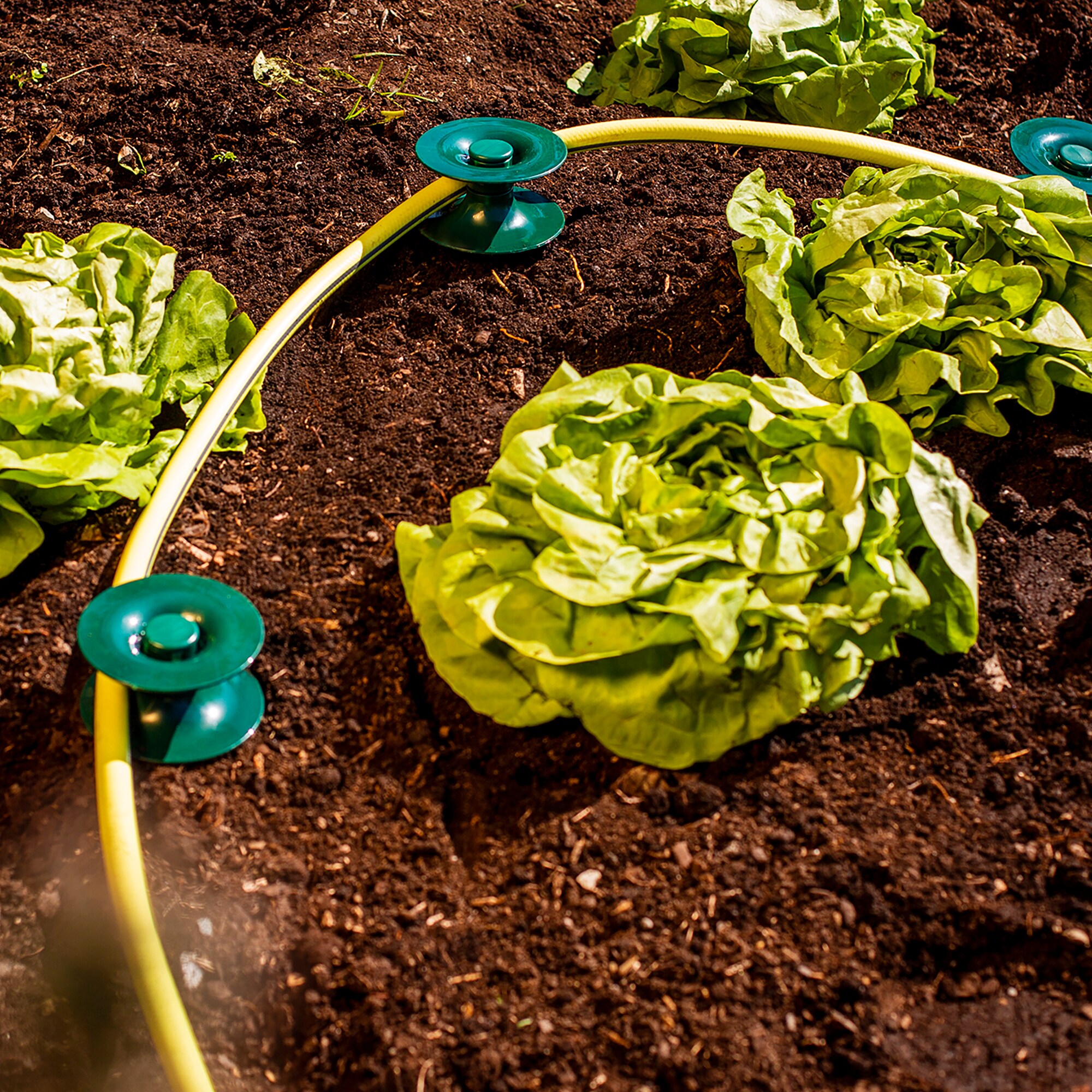 UPP Schlauchf&uuml;hrung - Bild 1