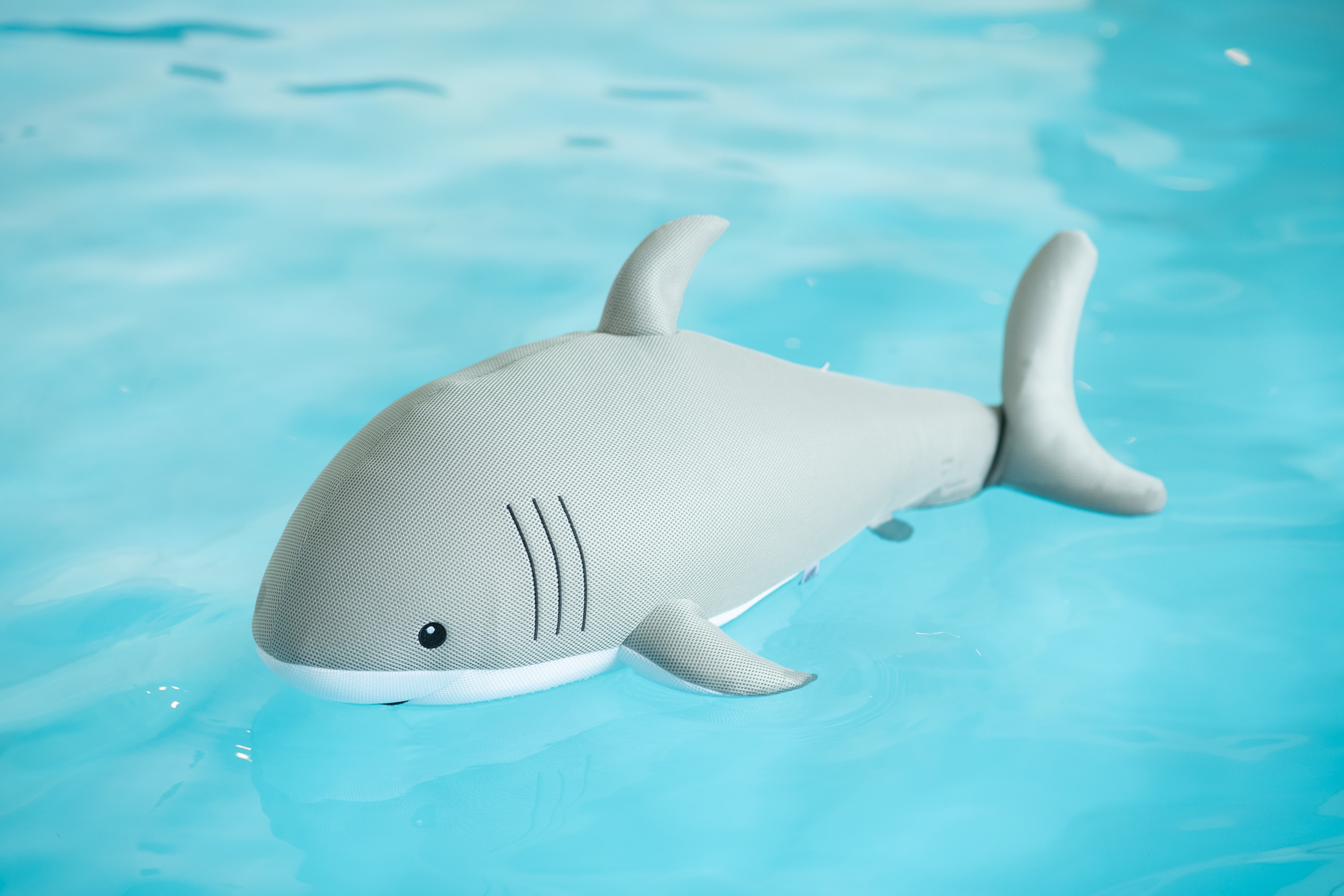 Westmann Pool Buddy versch. Ausf&uuml;hrungen - Bild 1