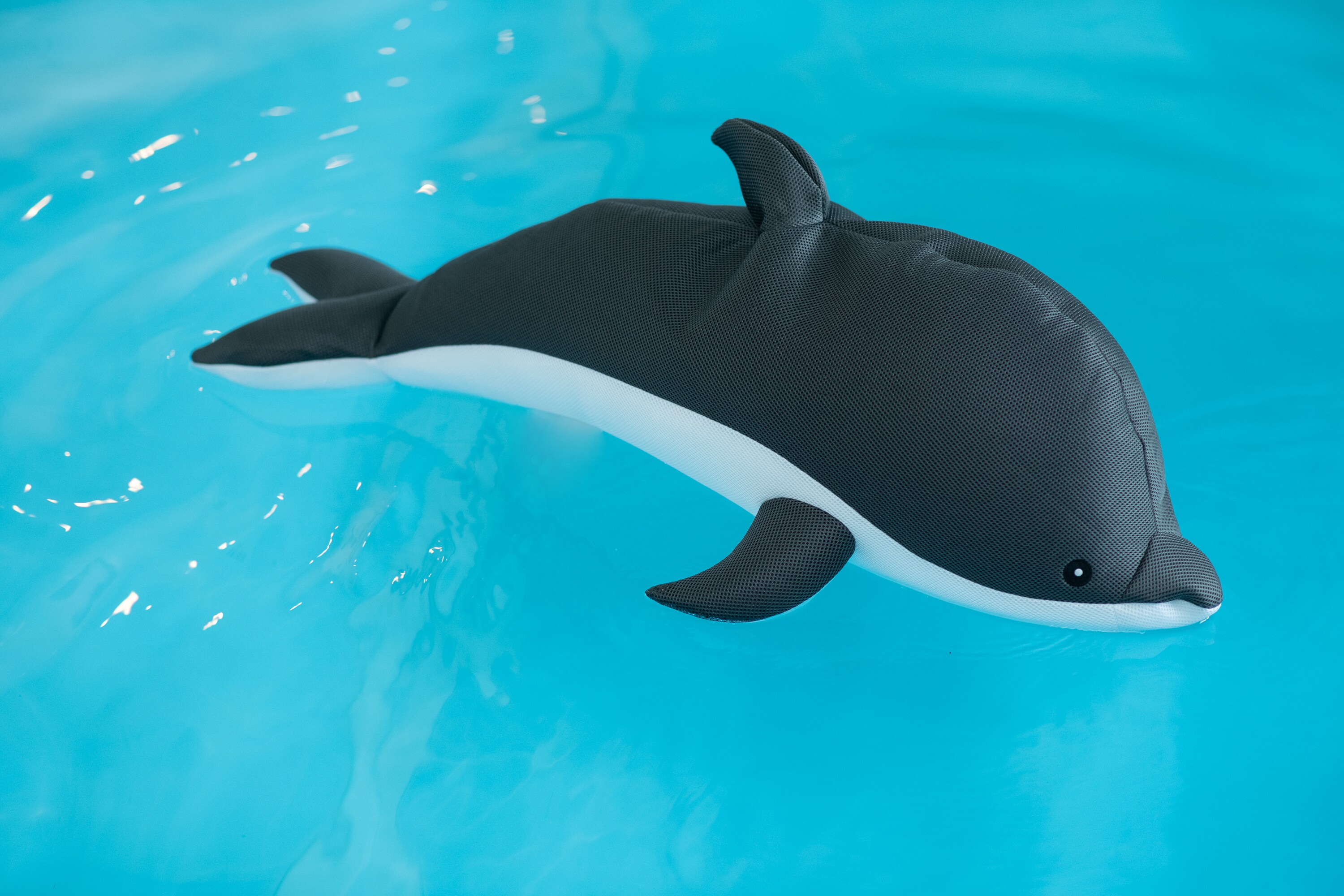 Westmann Pool Buddy versch. Ausf&uuml;hrungen - Bild 1