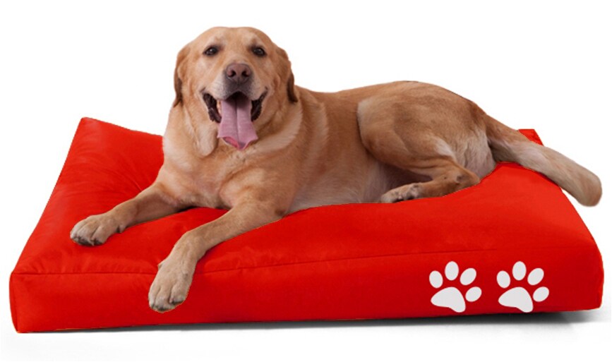 Tierkissen Quadrat versch. Farben - Rot - Bild 1