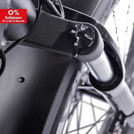 Zoll online E-Bike Hardtrail, JOBOBIKE, kaufen Fat-Reifen bei Netto Robin Damen 250 26 W