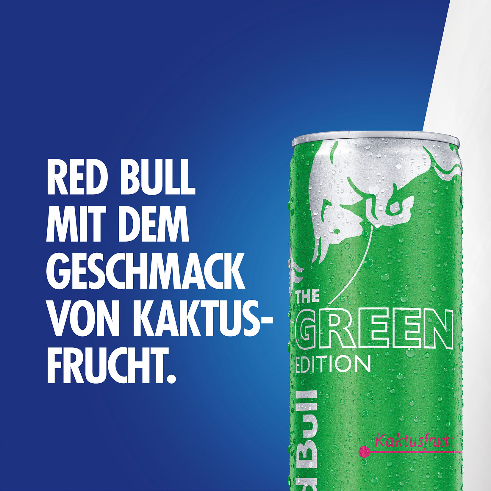 Red Bull Energy Drink Green Edition Kaktusfrucht 0,355 Liter Dose, 24er  Pack online kaufen bei Netto
