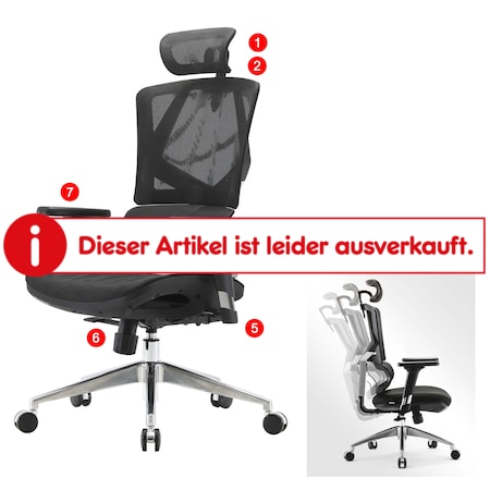 SIHOO Bürostuhl Schreibtischstuhl ergonomisch, Lordosenstütze hohe  Rückenlehne 3D-Armlehnen ~ Mesh schwarz