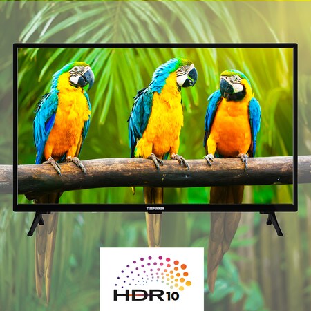 Monate D32H550X1CWT 80cm HD+ online inkl. Telefunken HDR10, gratis 6 [2023] LED-TV, HD-Ready, TV, kaufen Smart (32 Zoll) Netto bei