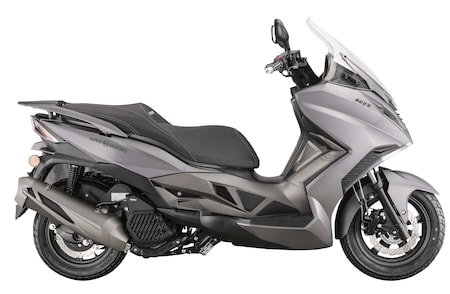 Alpha Motors Motorroller ccm Sport Cruiser km/h Netto kaufen online 22 95 125 EURO bei grau 5