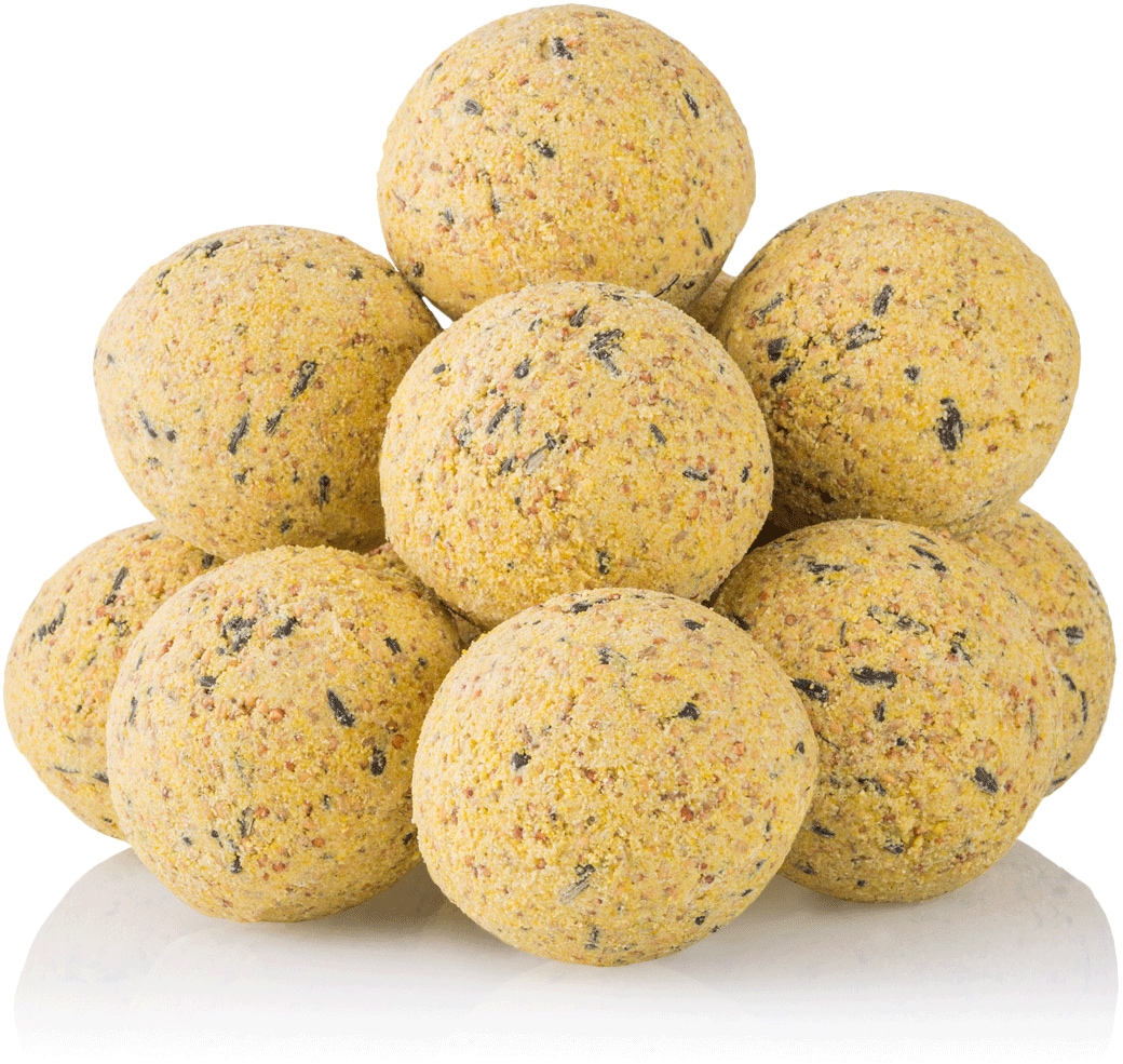 200x Meisenkn&ouml;del ohne Netz inkl. Samenmischung "Futterwiese" - Bild 1