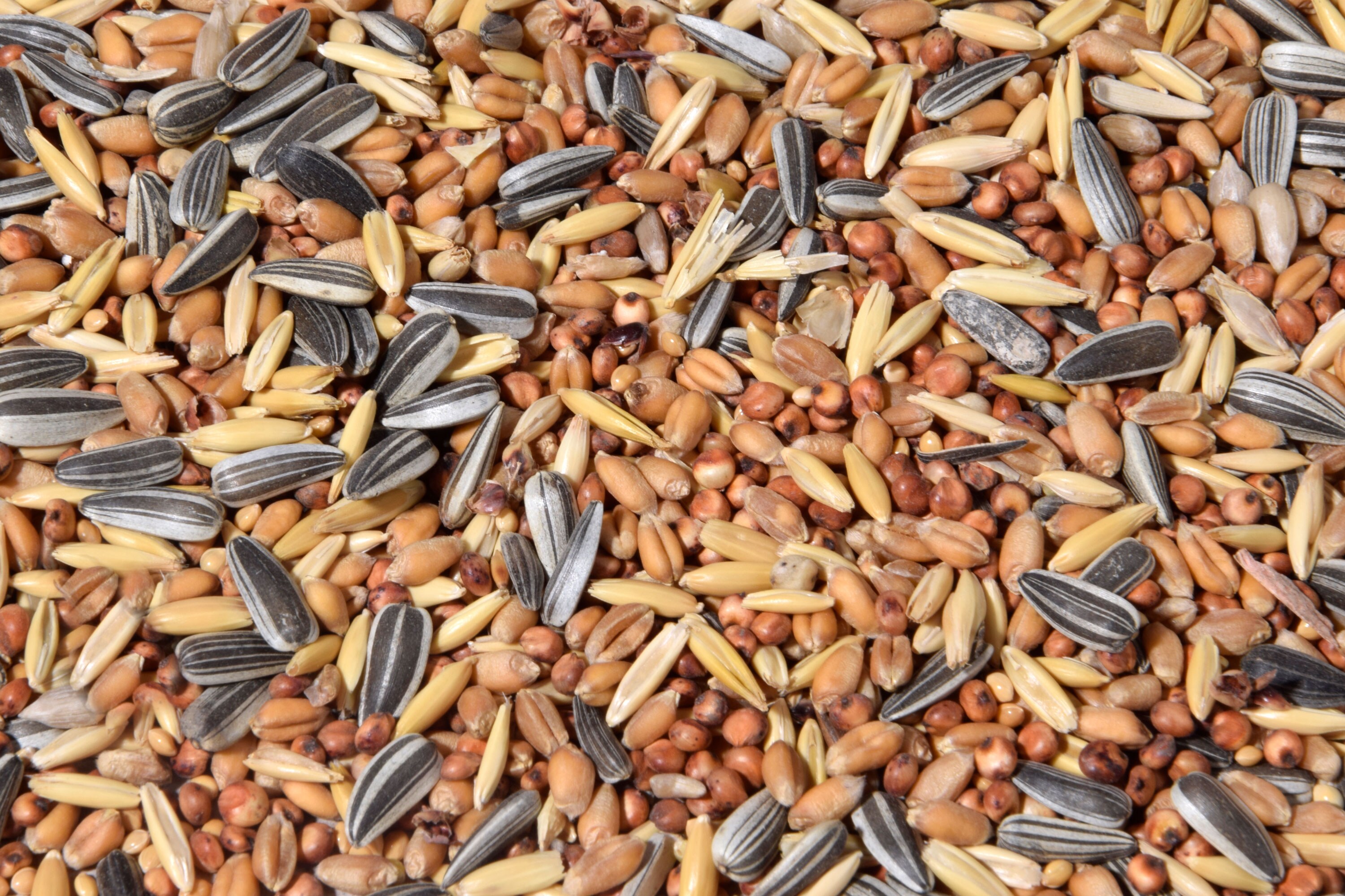 dobar Vogelfutter - versch. Varianten - Bild 1