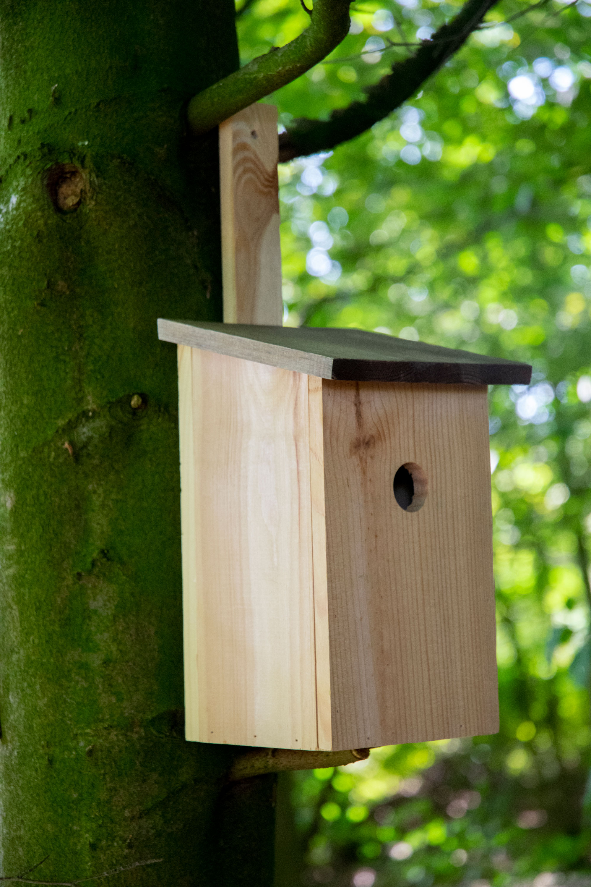 dobar Meisenkasten - versch. Ausf&uuml;hrungen - Bild 1