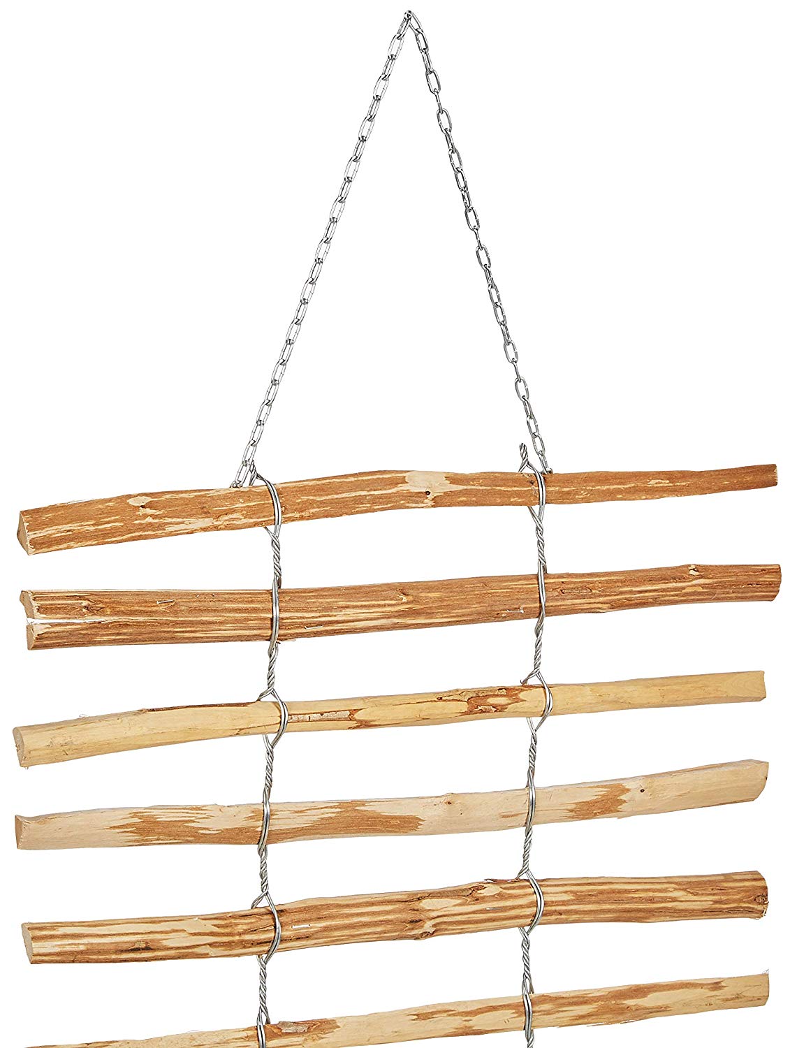 dobar Rankgitter-Spalier, Haselnuss - Bild 1