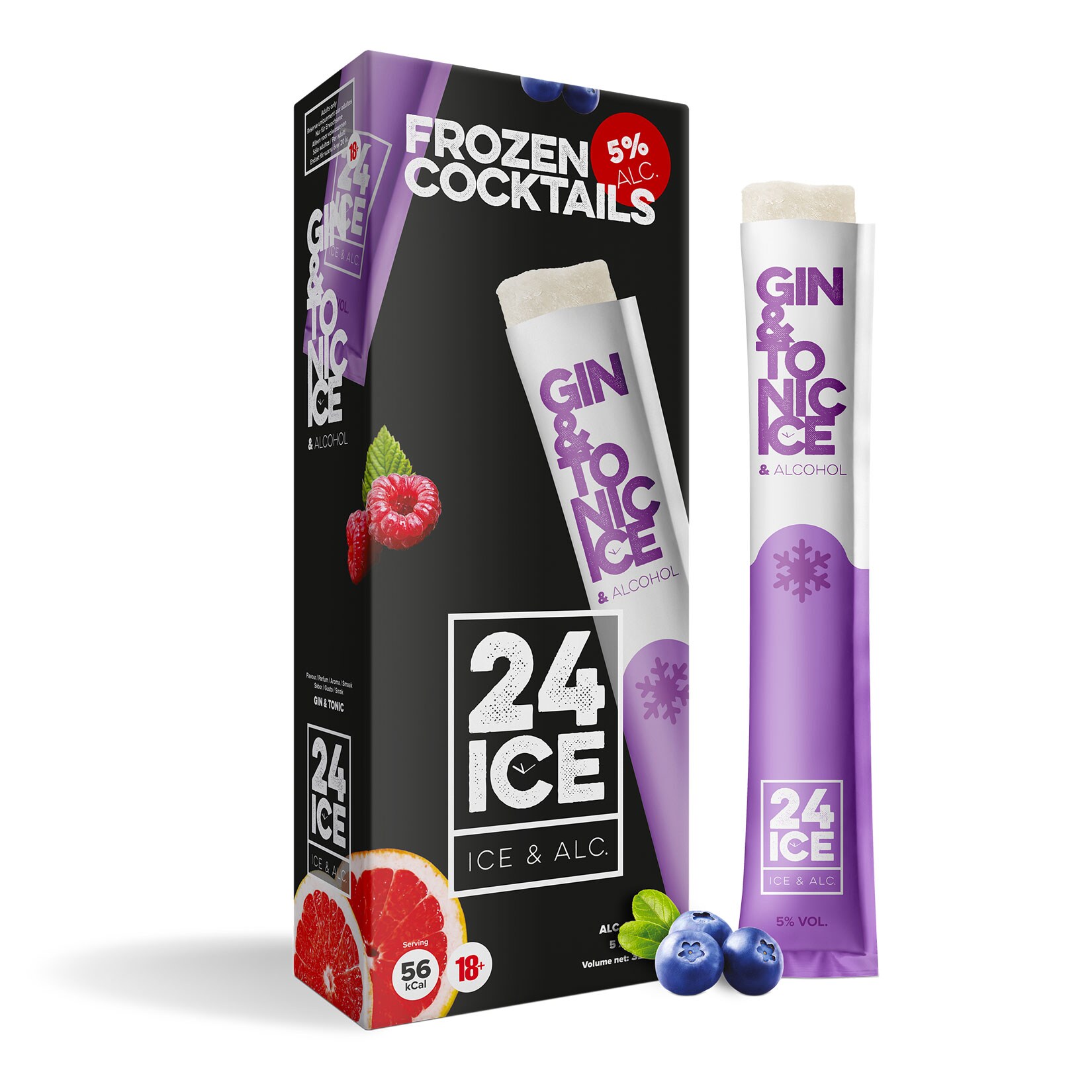 24ICE Gin & Tonic Cocktail Wassereis 5,0 % vol 5 x 65 ml - Bild 1