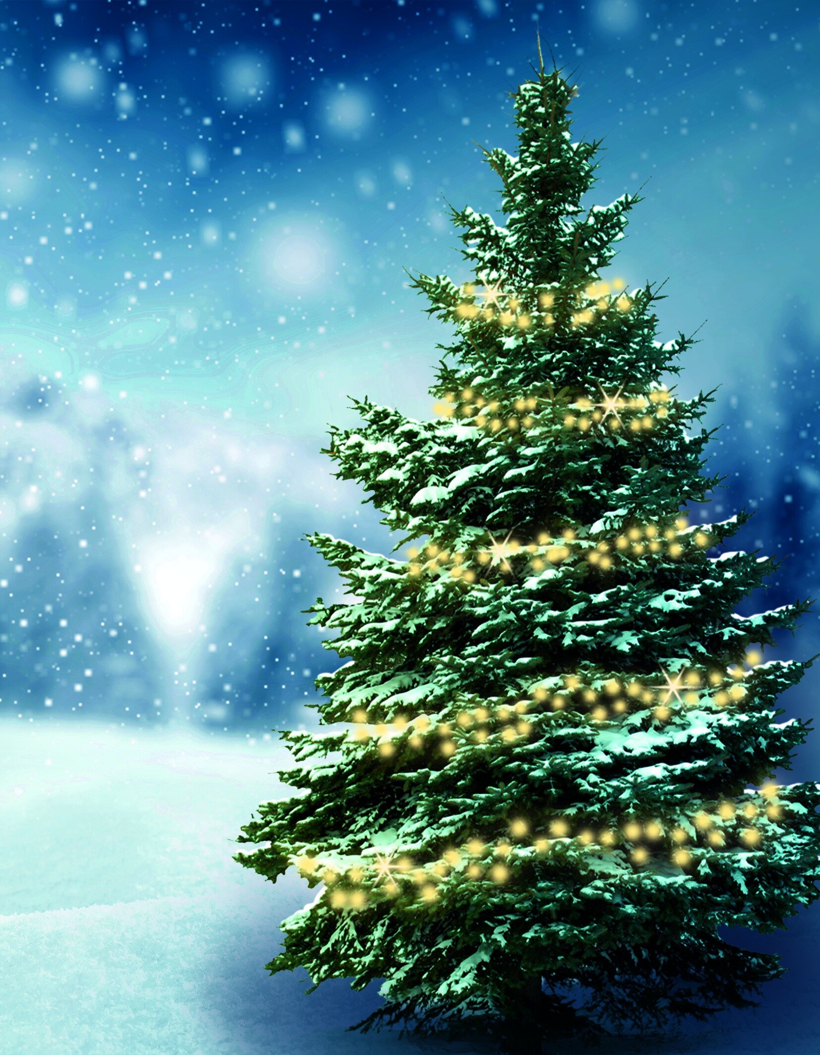 LED Baumlichterkette - Bild 1