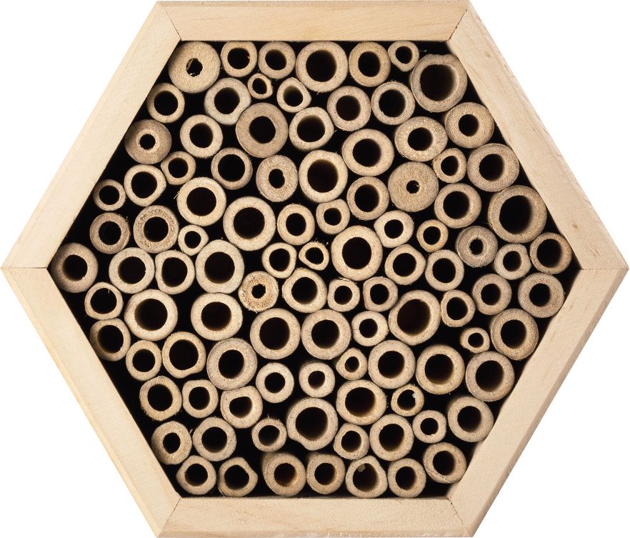 Living Garden Bienenhotel - Bambus - Bild 1