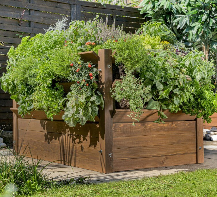 Kr&auml;uterhochbeet - Bild 1