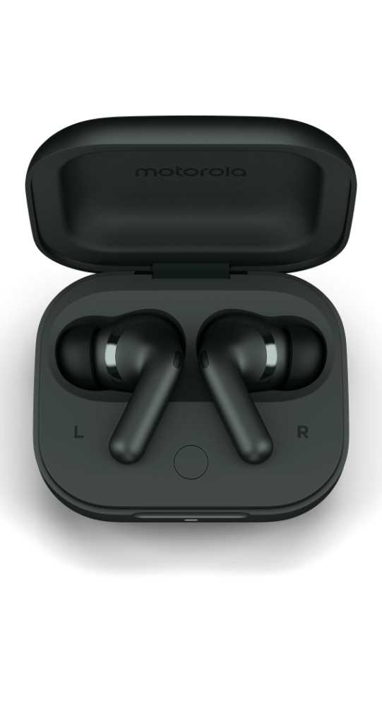 Motorola Kopfhörer Moto Buds+ Forest Grey