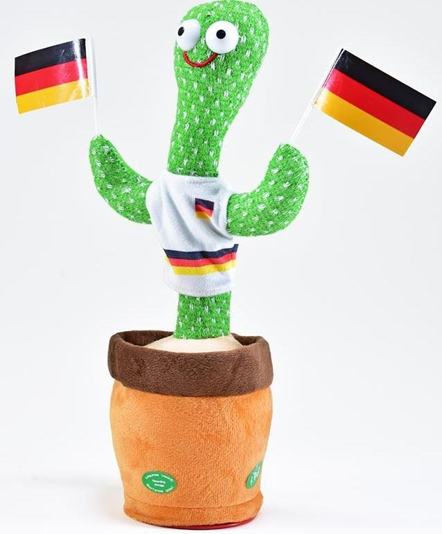 Tanzender EM Kaktus - Bild 1