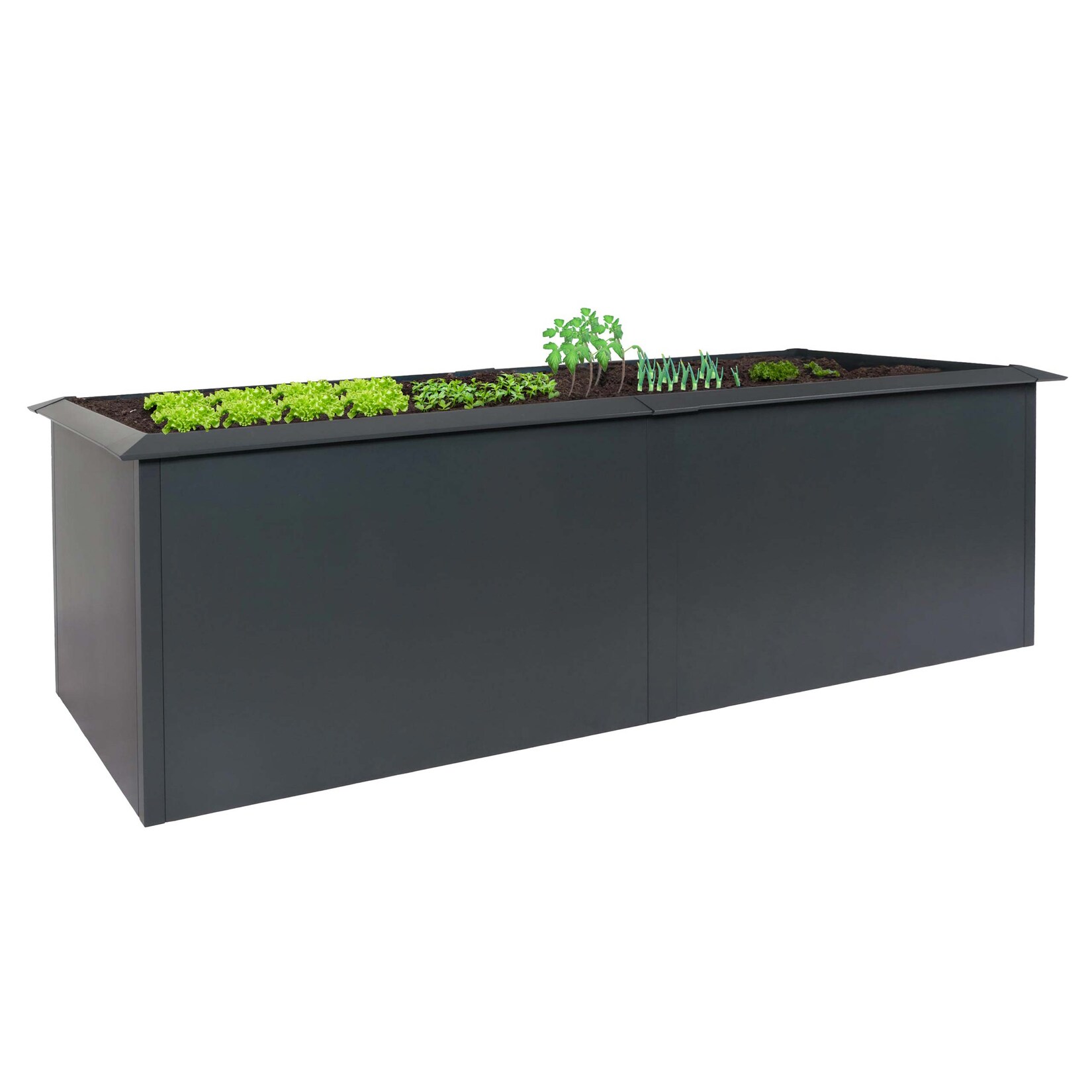 Hochbeet MCW-N24, Metallhochbeet Gemüsebeet Blumenkasten Pflanzkübel, Schneckenkante 78x250x90cm Eisen 65kg, anthrazit | 04057651787923