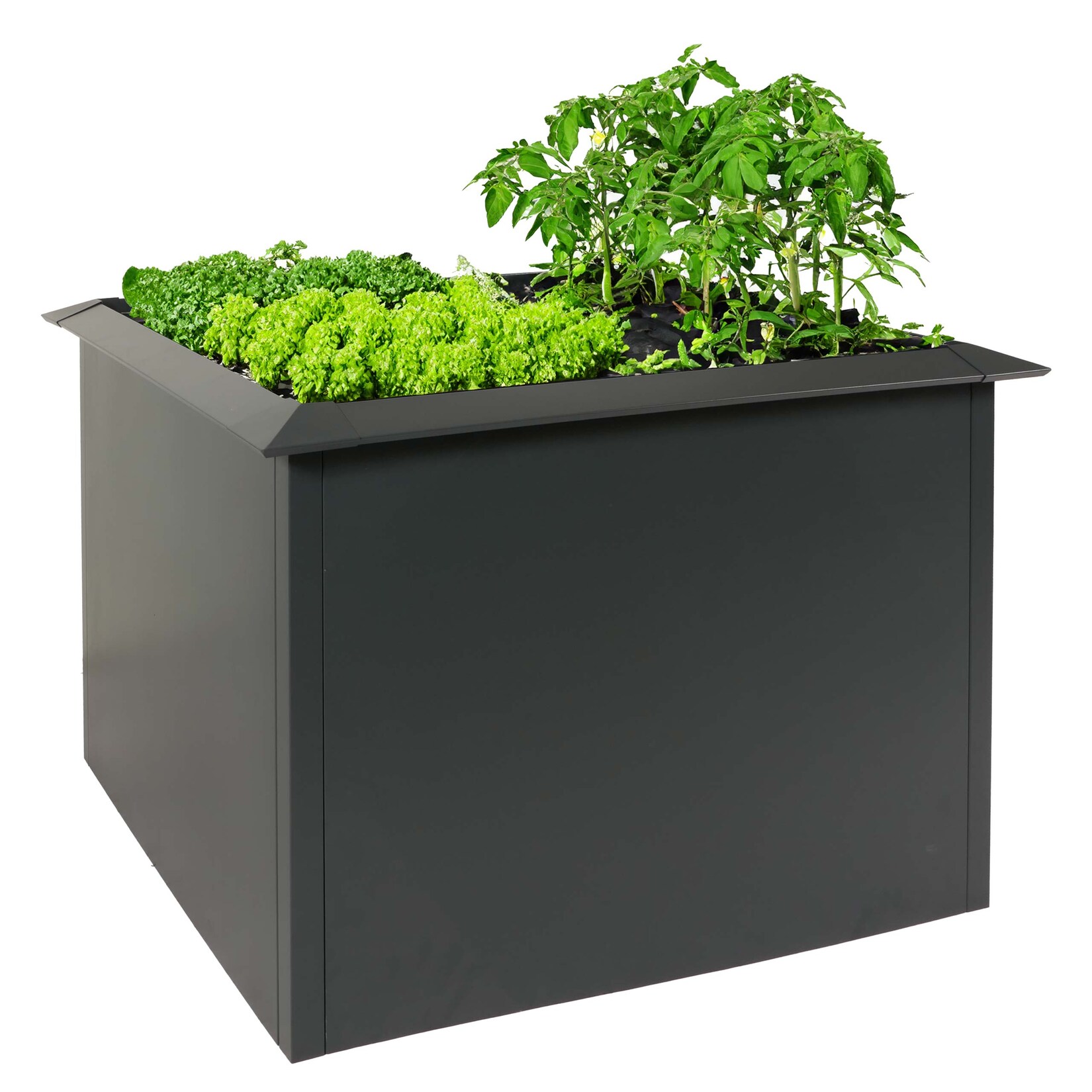 Hochbeet -N24, Metallhochbeet Gemüsebeet Blumenkasten Pflanzkübel, Schneckenkante 78x110x110cm Eisen , anthrazit