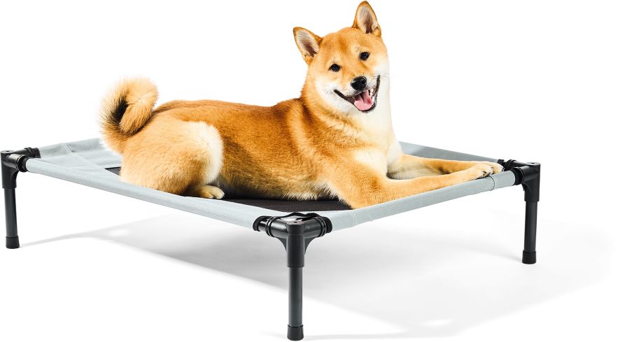 My Fellow Hunderelaxliege - Bild 1