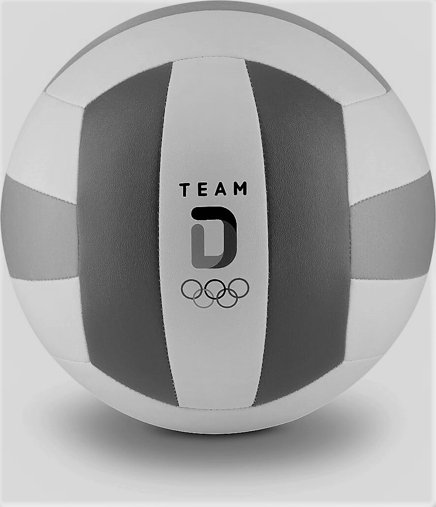 Team D Volleyball (schwarz/grau)