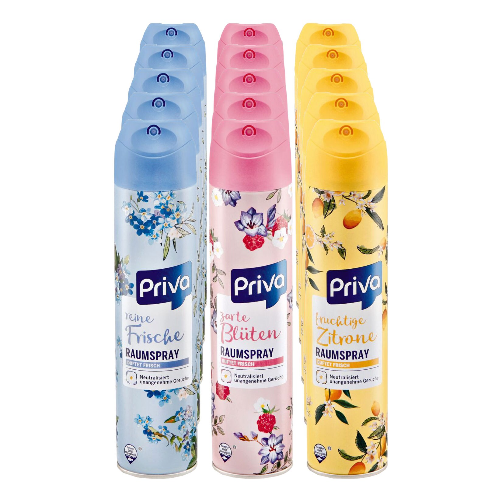 Priva Raumspray 300 ml, verschiedene Sorten, 15er Pack - Bild 1