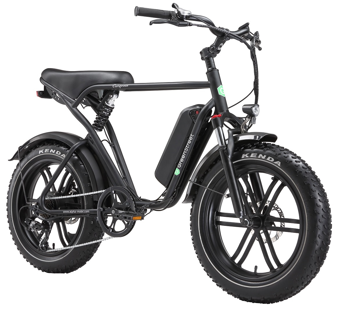 GreenSteet E-Bike Fat Tire California 250 W 20 Zoll schwarz - Bild 1