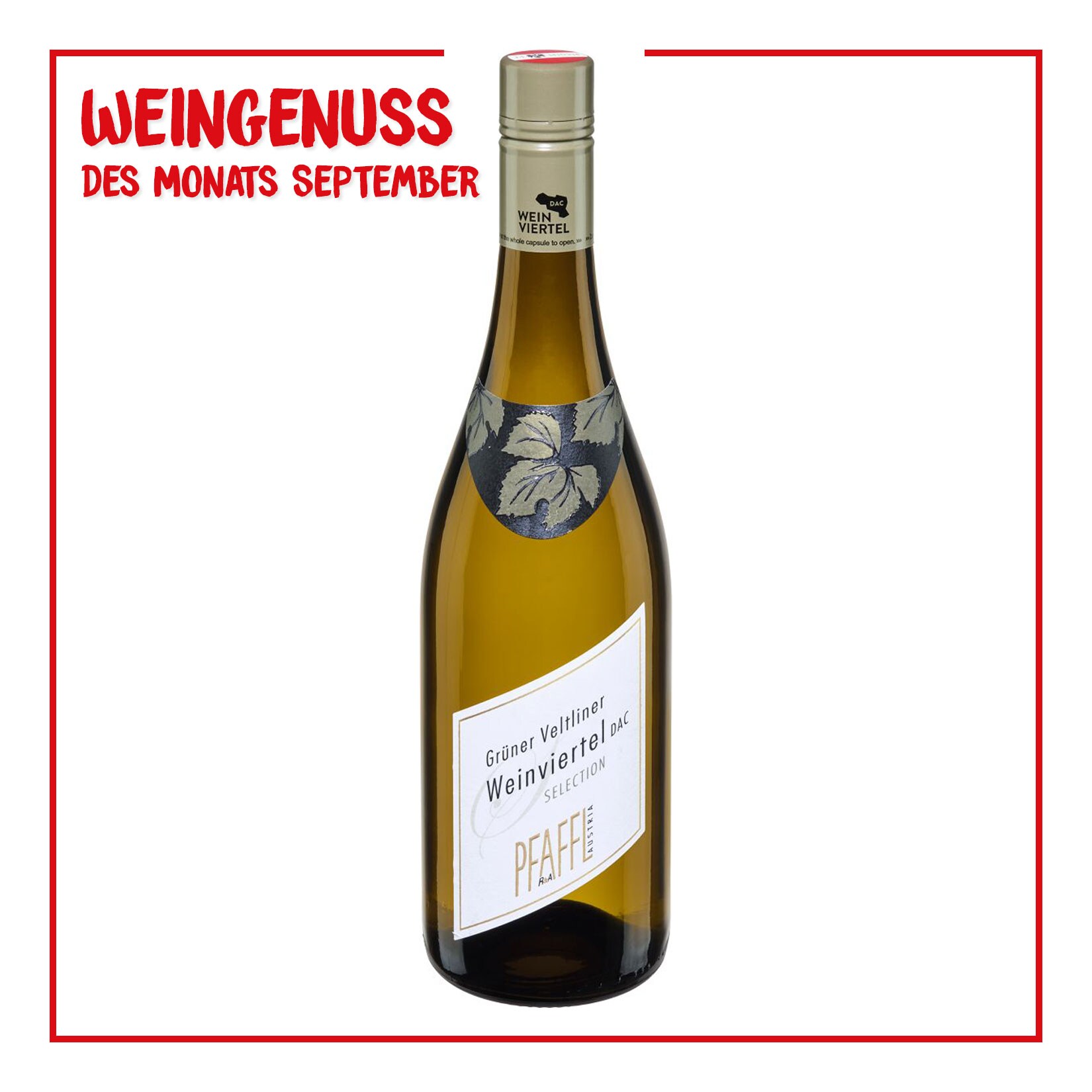 Pfaffl Gr&uuml;ner Veltliner Selection 13,0 % vol 0,75 Liter - Bild 1