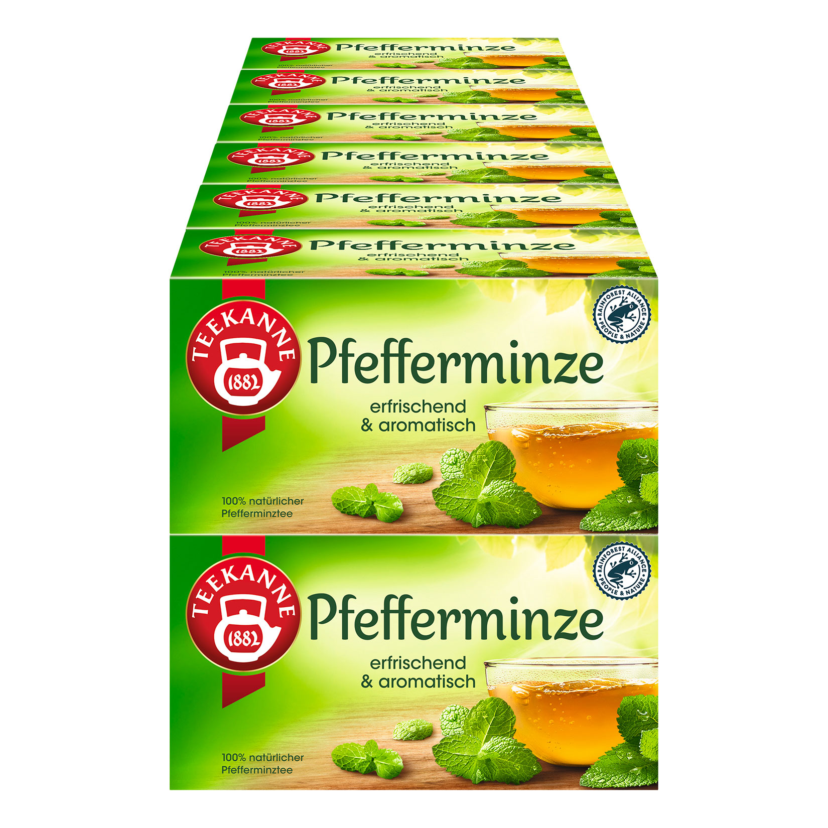Teekanne Pfefferminze 45 g, 12er Pack - Bild 1