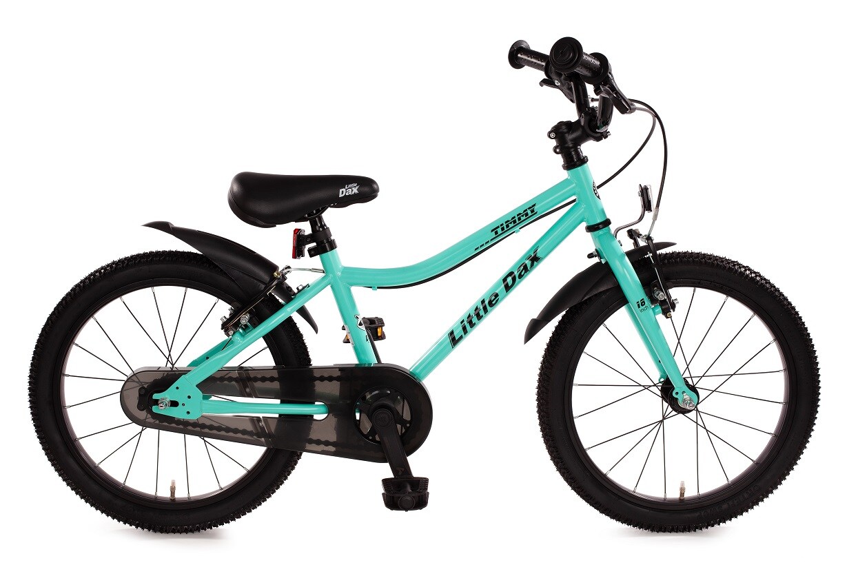 Bachtenkirch 18"Kinderfahrrad "Little Dax-Timmy" t&uuml;rkis-semimatt - Bild 1