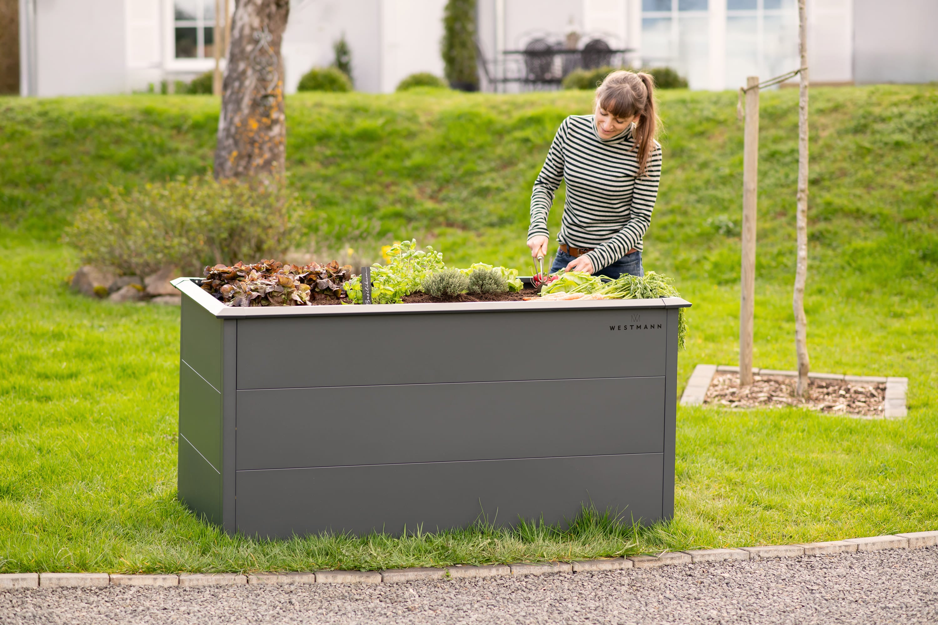 Westmann Hochbeet Primus L - Bild 1