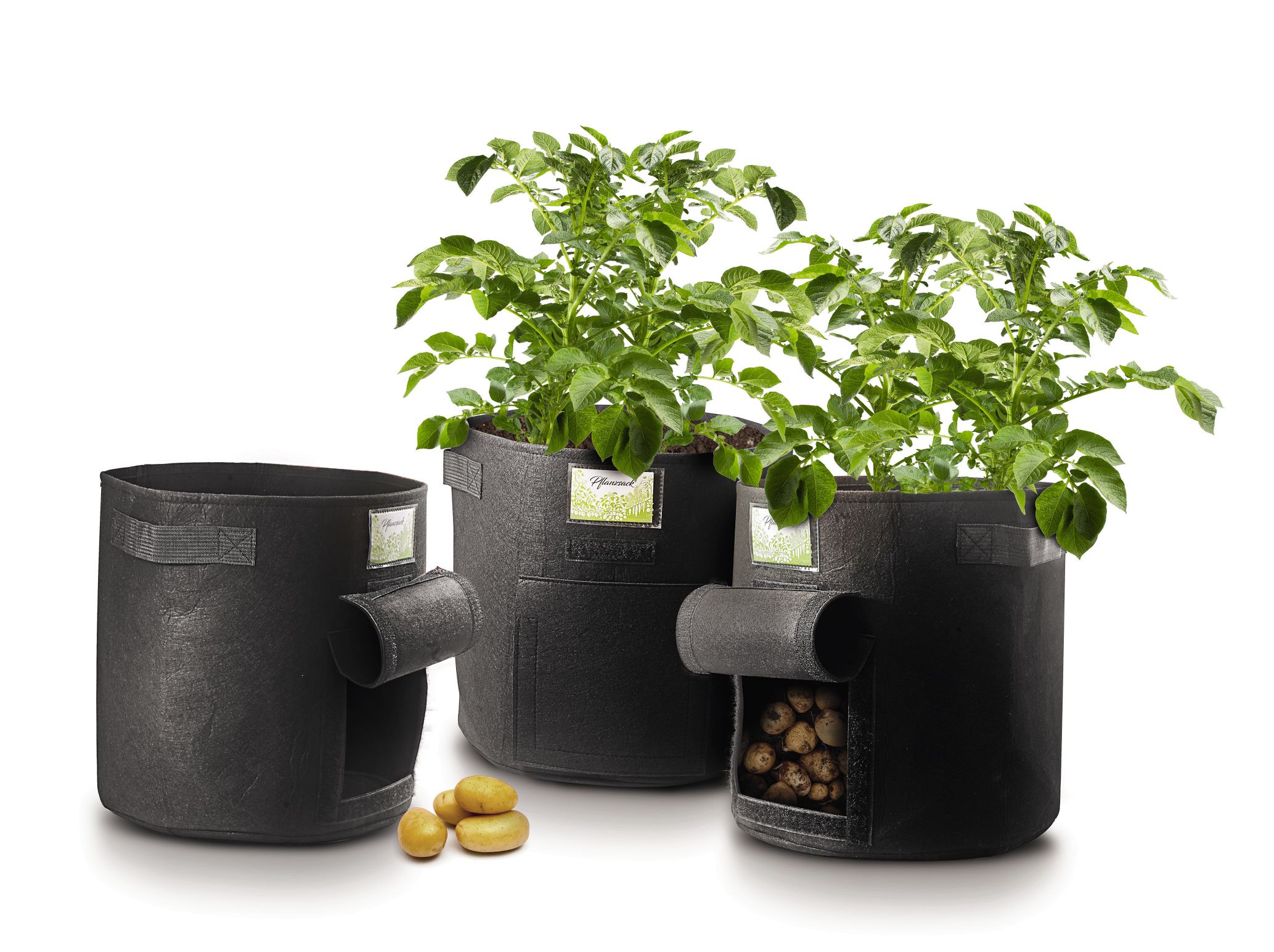 Living & Garden Pflanzs&auml;cke 3er Pack 3 ST - Bild 1