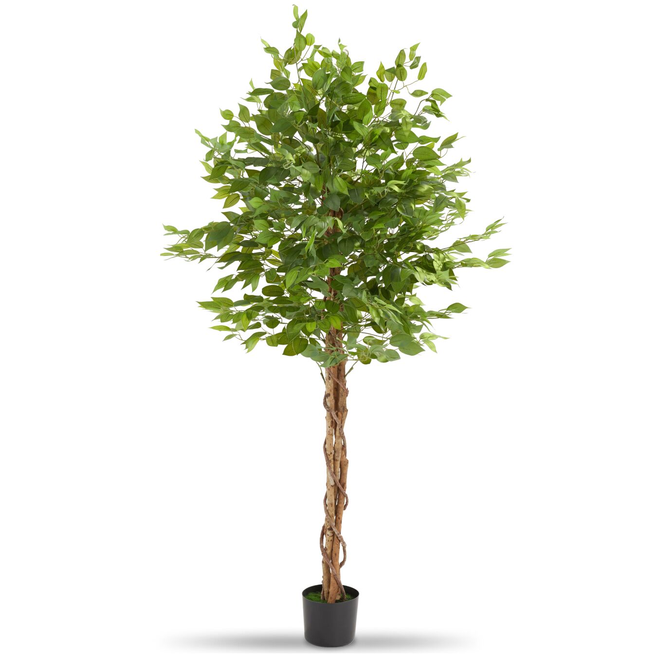 tectake&reg; K&uuml;nstlicher Ficusbaum, verschiedene Gr&ouml;&szlig;en, mit viel Volumen, stabiler Kunststoff-Blumentopf - Bild 1