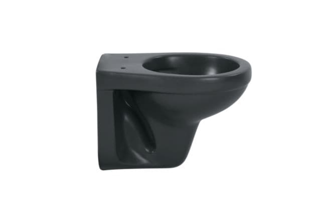 sanicomfort Wand-WC anthrazit matt sp&uuml;lrandlos, Tiefsp&uuml;ler - Bild 1