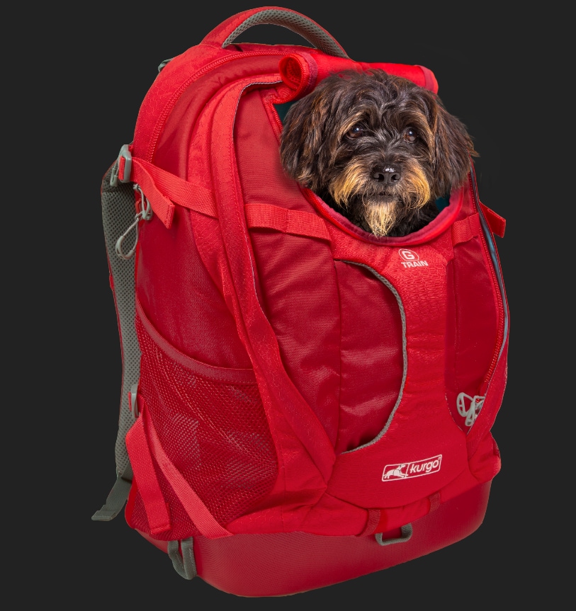 Kurgo G-Train Hunderucksack, Schwarz - Bild 1