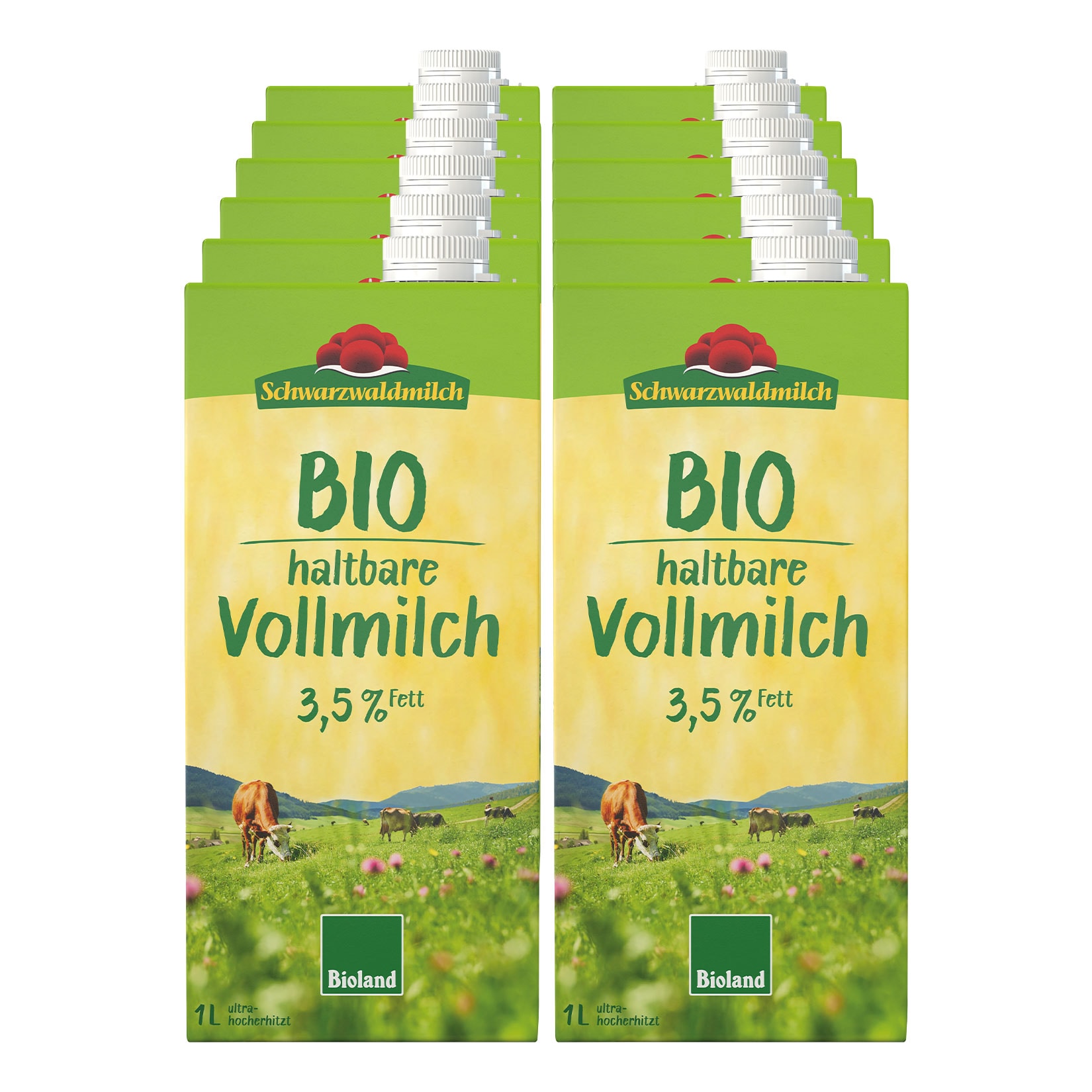 Schwarzwaldmilch Bio H-Milch 3,5 % 1 Liter, 12er Pack - Bild 1
