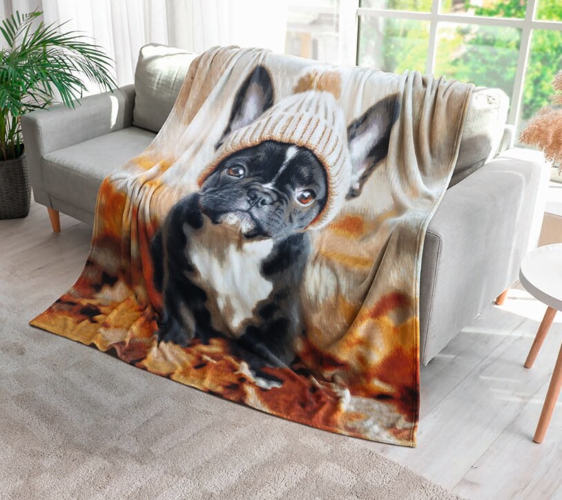 Dekor Wohndecke Fotodruck, ca. 150x200 cm - versch. Ausf&uuml;hrungen - Bulldogge - Bild 1