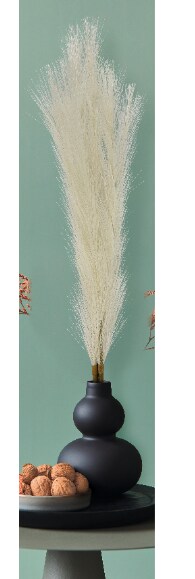 Dekor Pampasgras - versch.Ausf&uuml;hrungen - natur - Bild 1