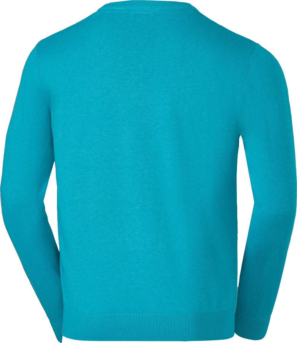 U.S. Polo Assn. Herren Pullover Rundhals