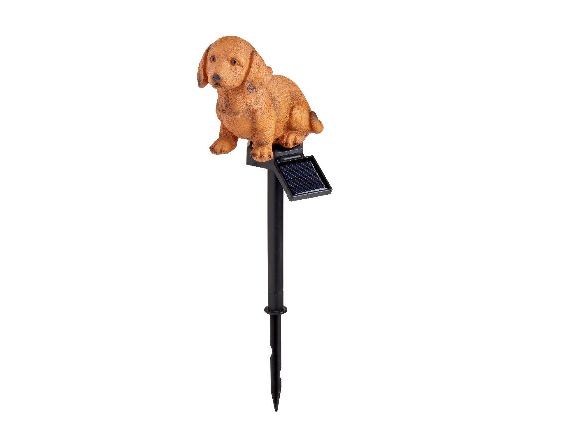 Leuchttiere, Hund Rico