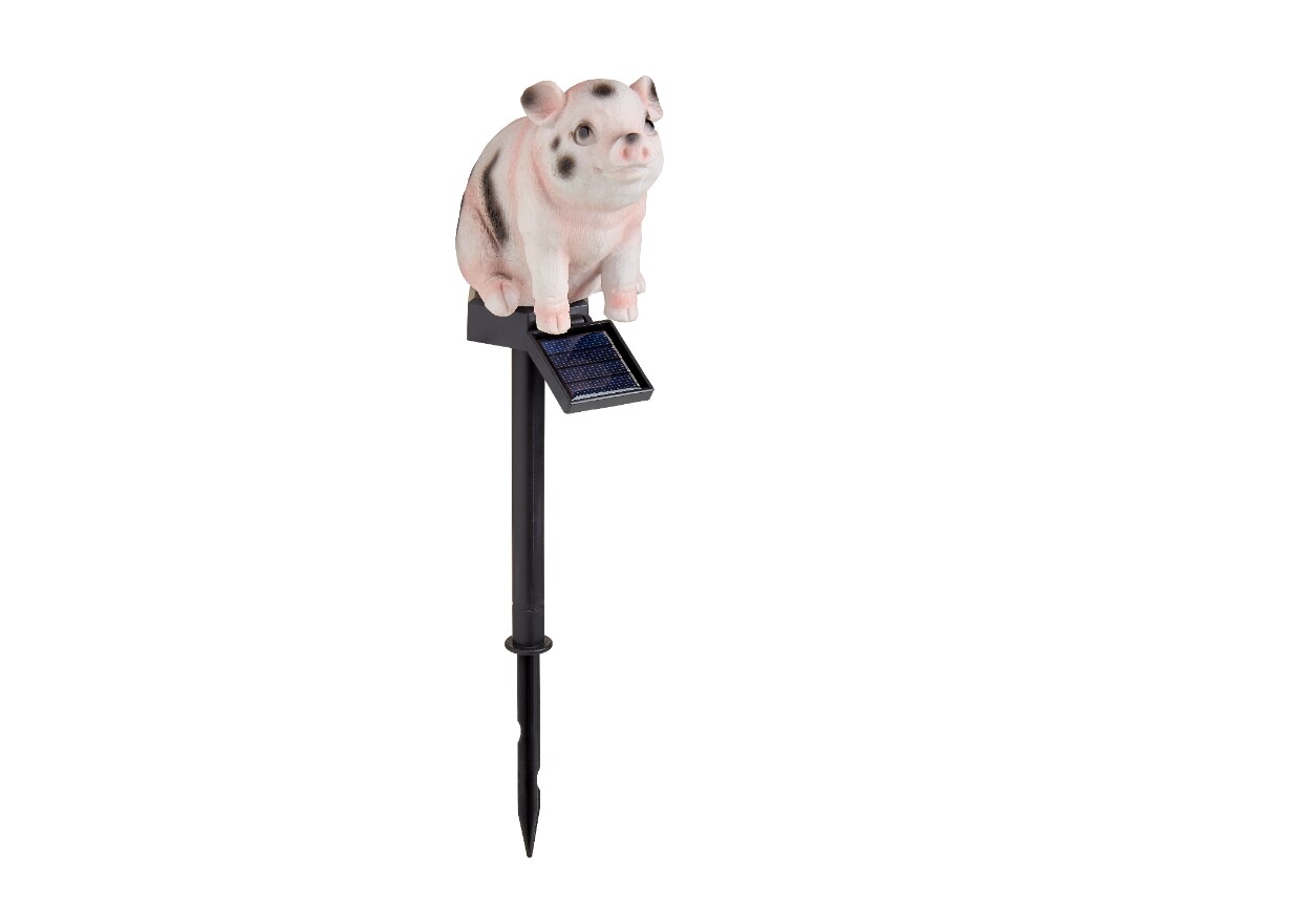 Leuchttiere, Schweinchen Jil