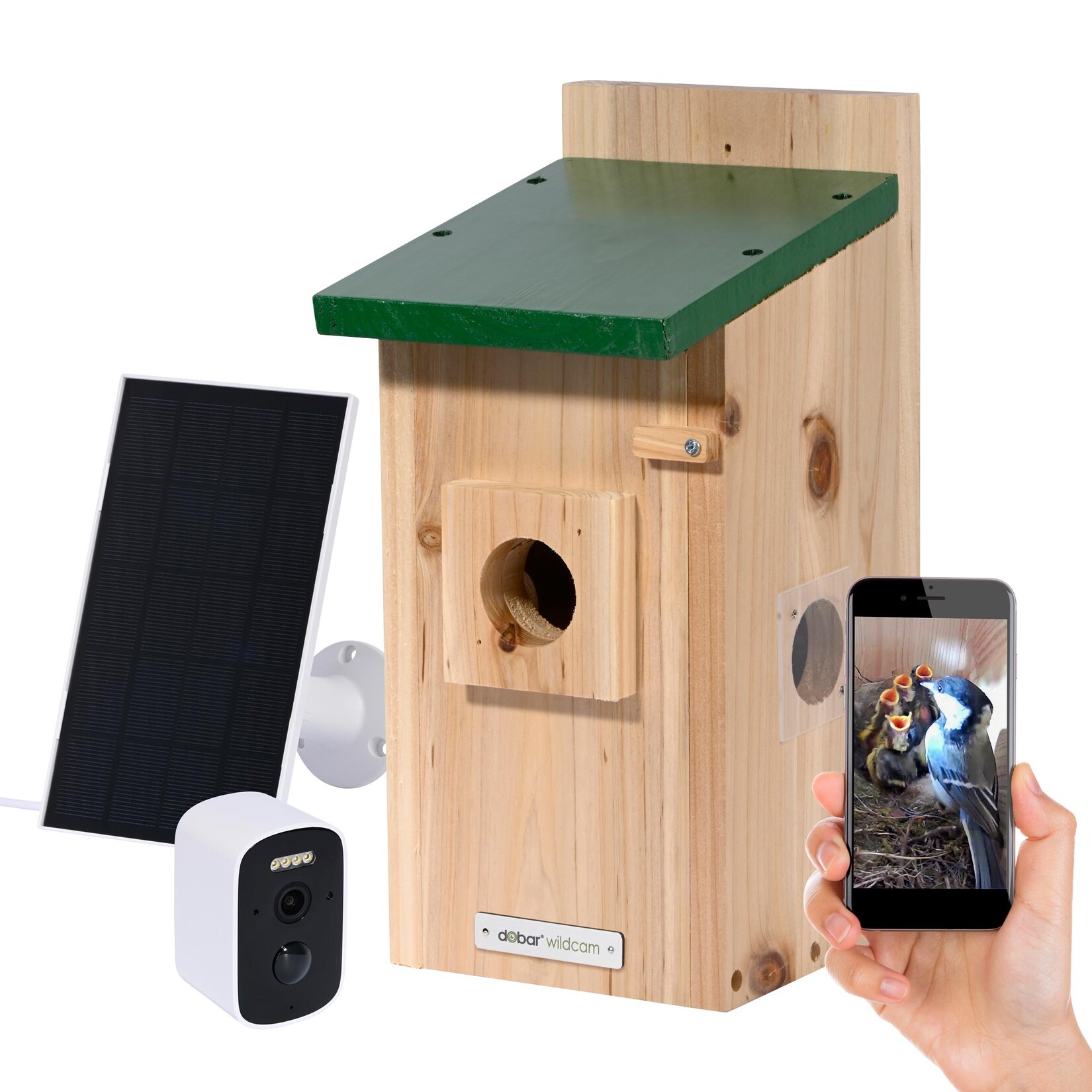 dobar Nistkasten EAZY Flachdach inkl. WiFi Kamera und Solar-Panel, Grün