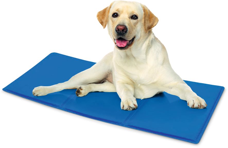 Buddy'z Best Selbstk&uuml;hlende Gelmatte 70x100 cm - Bild 1