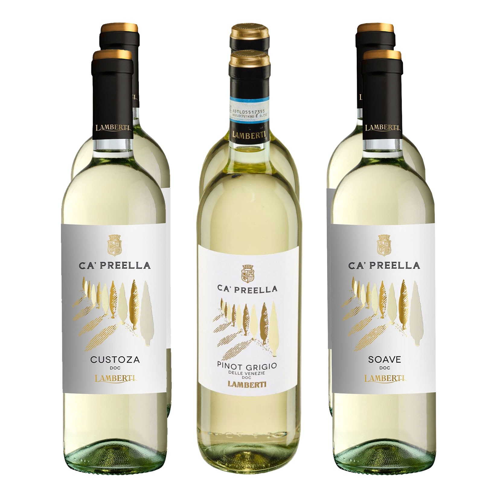 Wei&szlig;weinpaket aus dem Veneto 12,0 - 12,5 % vol 6 x 0,75 Liter - Bild 1