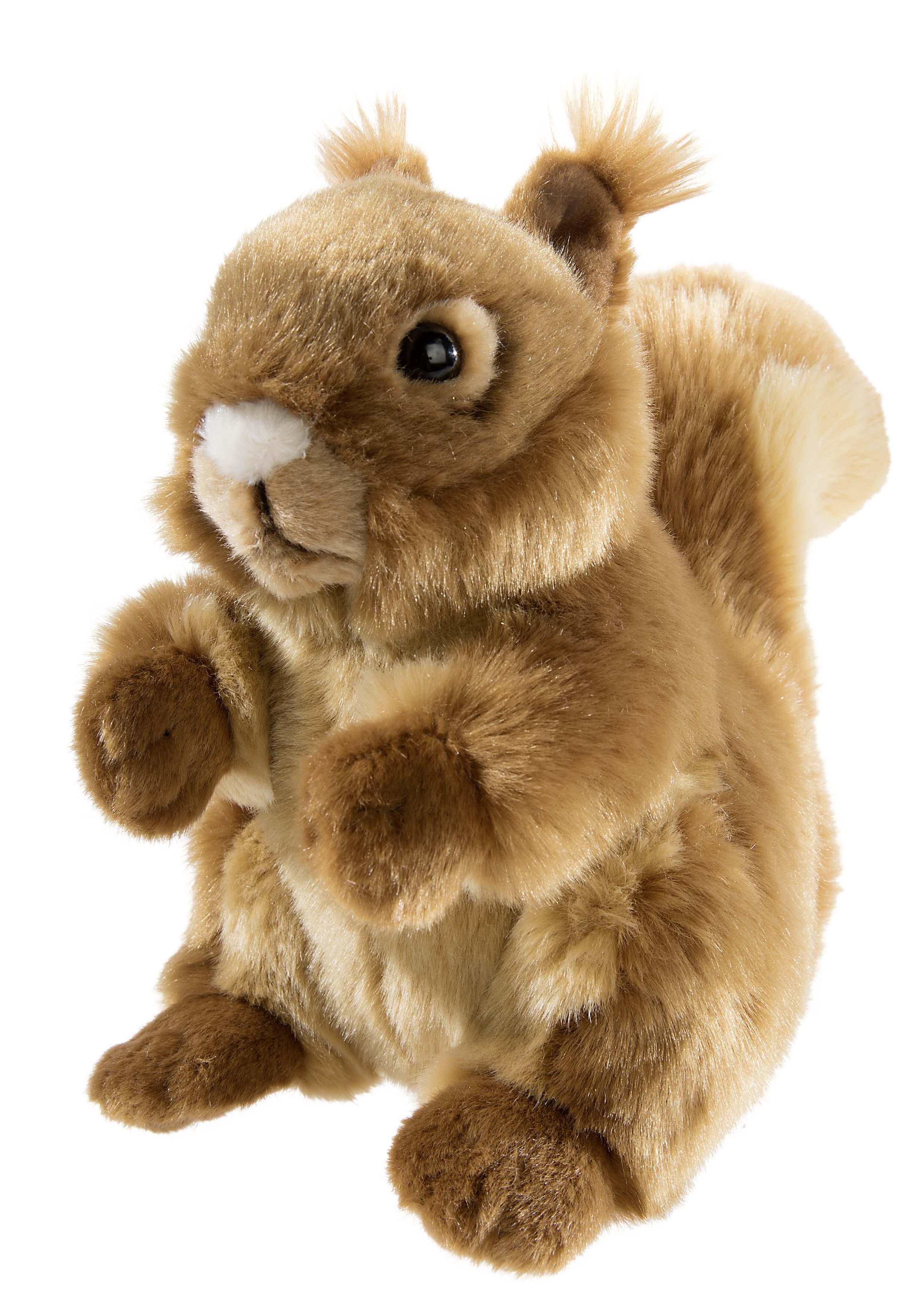 MISANIMO Eichh&ouml;rnchen - Bild 1