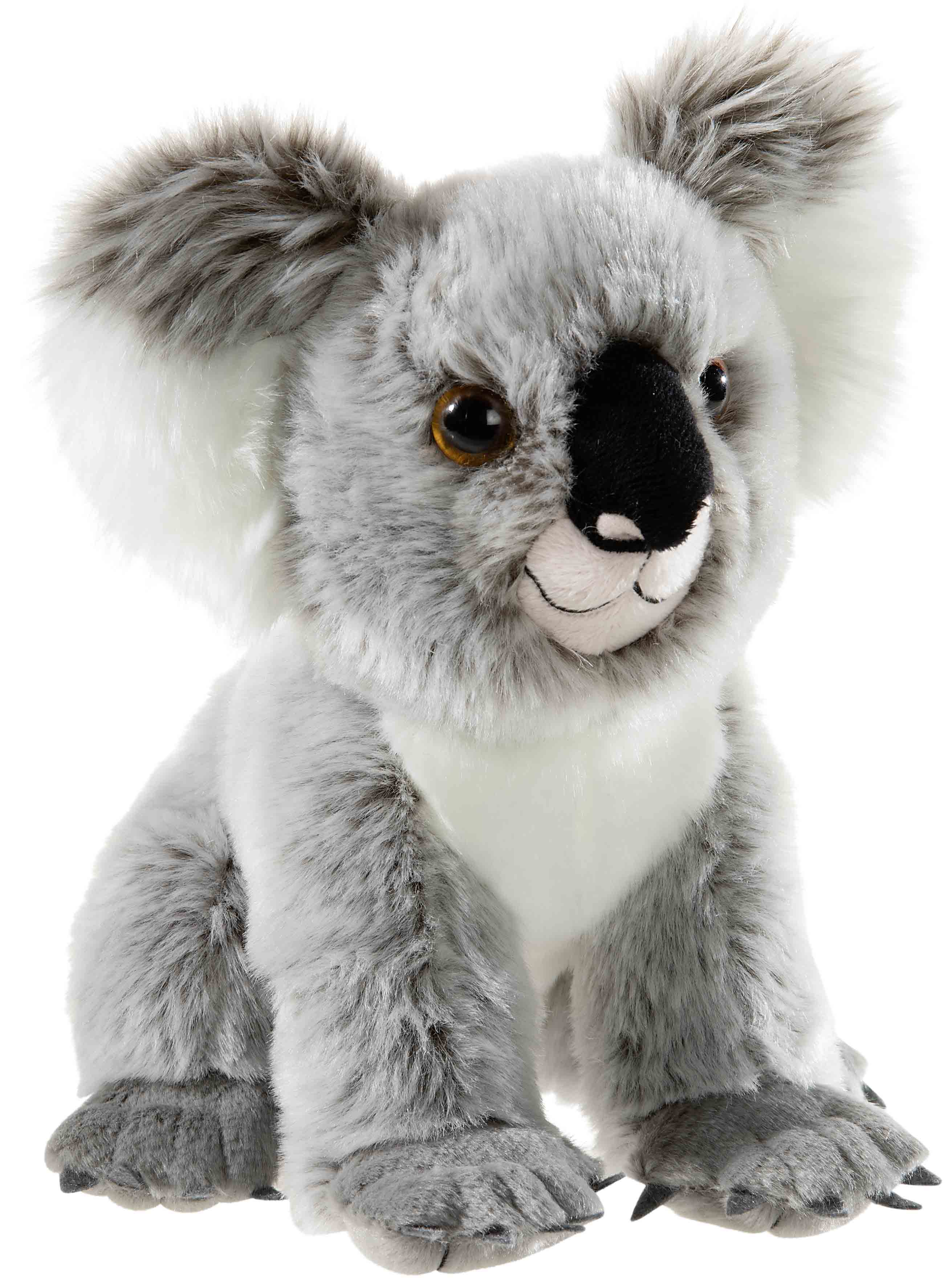 BEDROHTE TIERE Koala B&auml;r - Bild 1