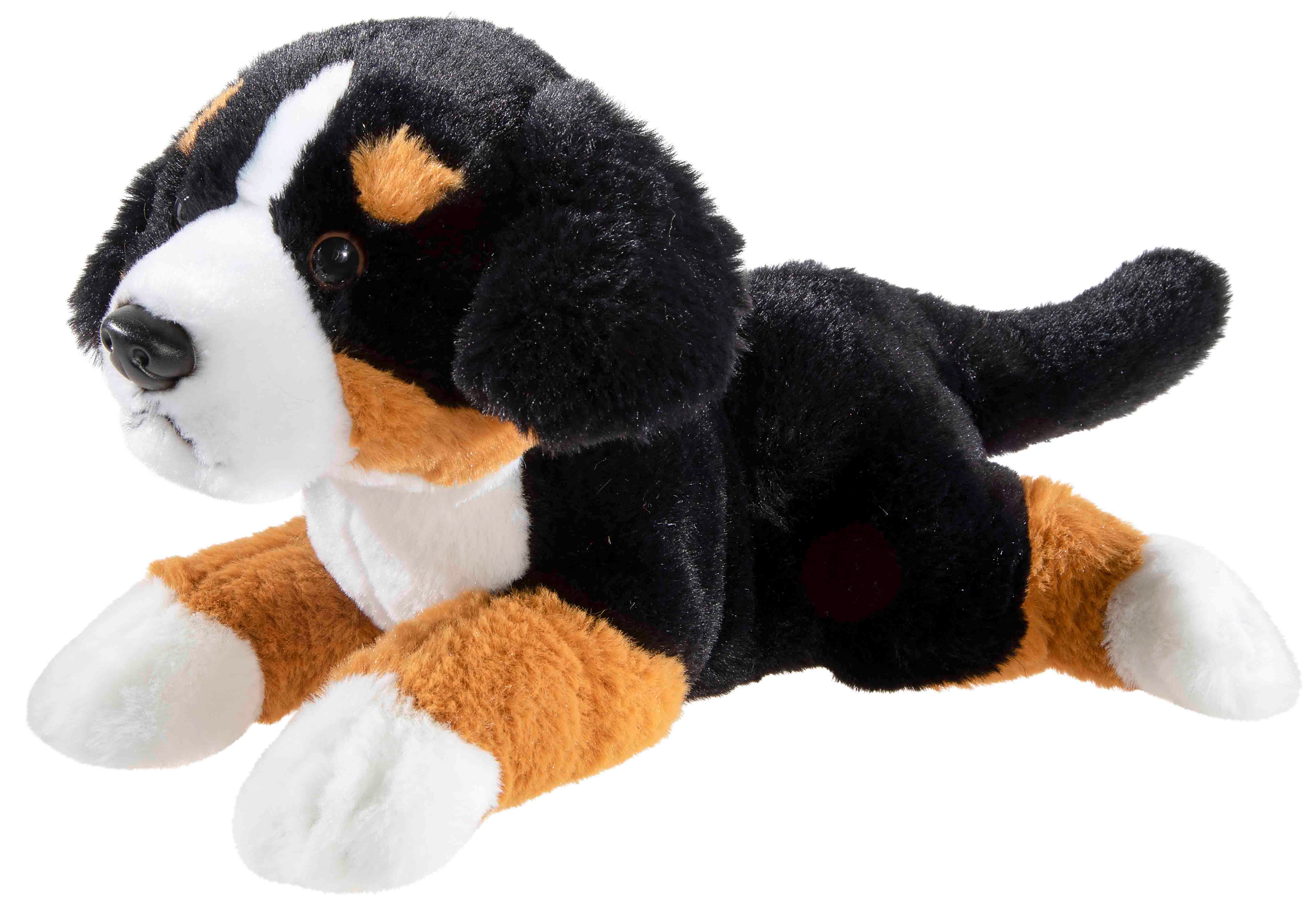 MISANIMO WELPE Sennenhund liegend - Bild 1