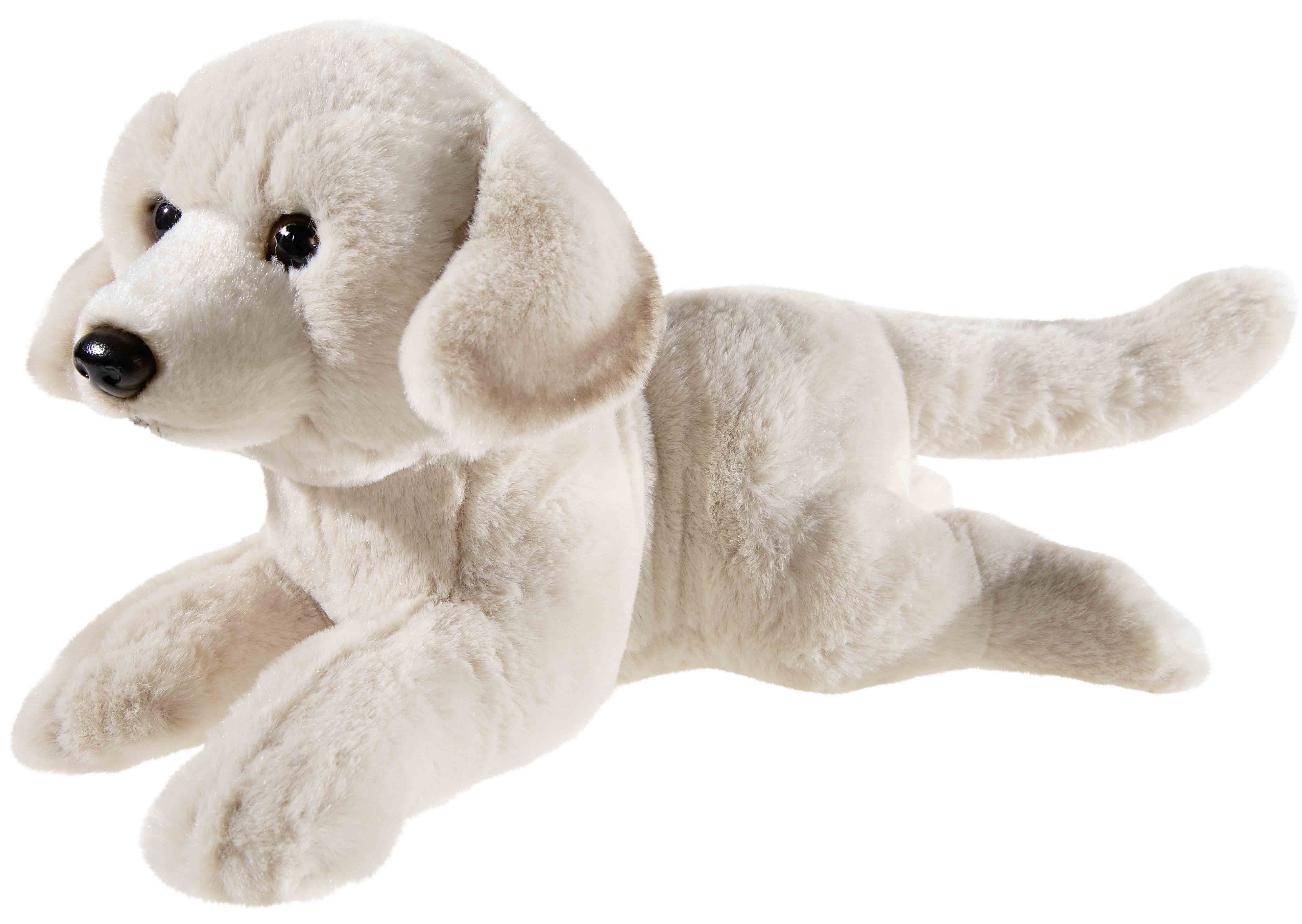 MISANIMO WELPE Retriever liegend - Bild 1